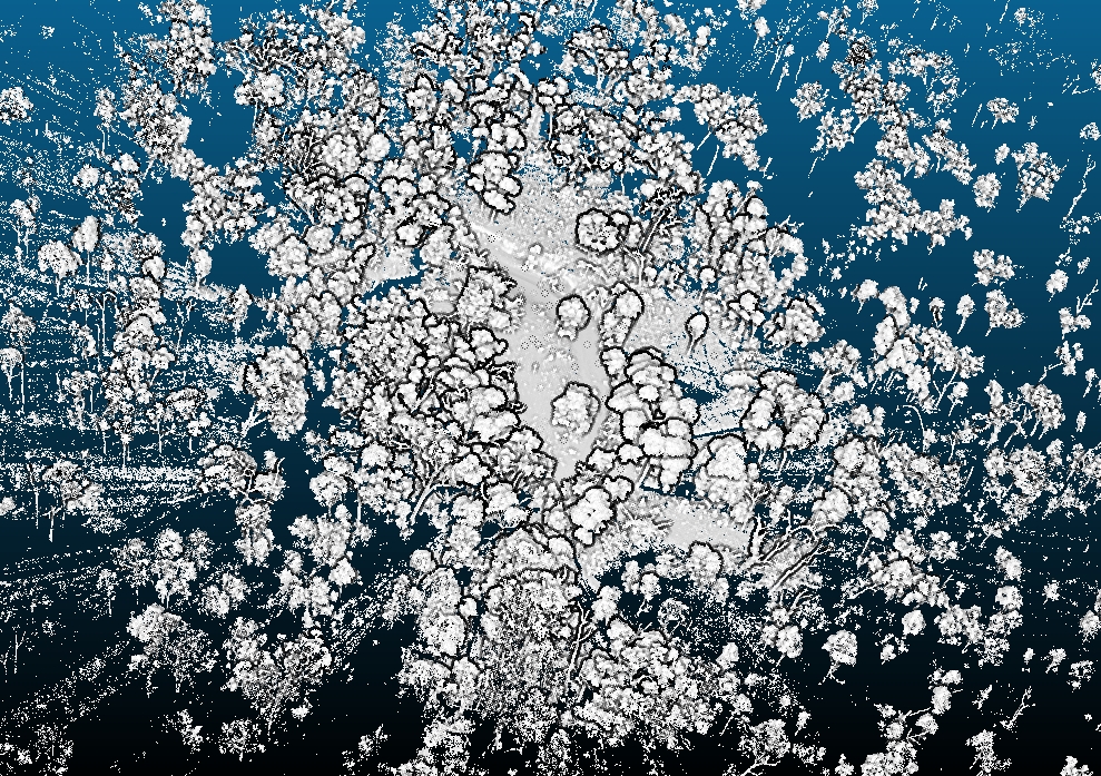 Riegl scan of a bank