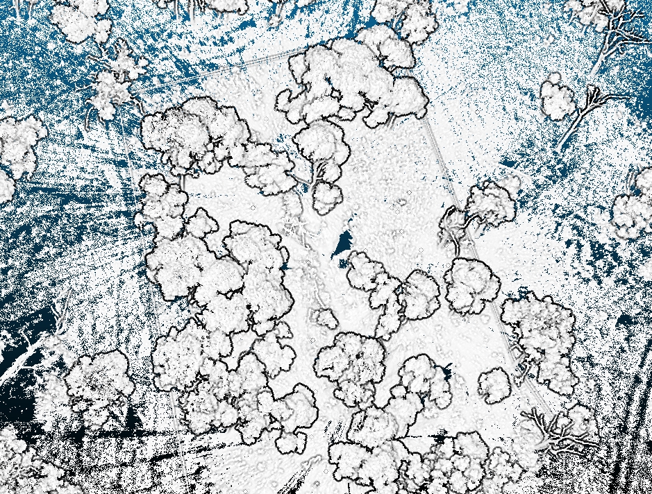 Riegl scan of a gully