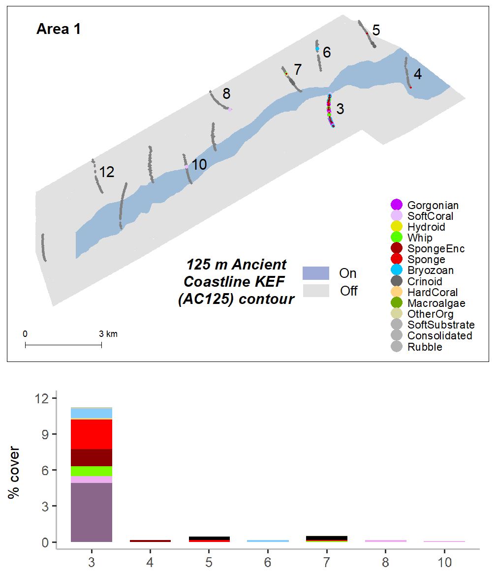 Percent cover of organisms in Area 1