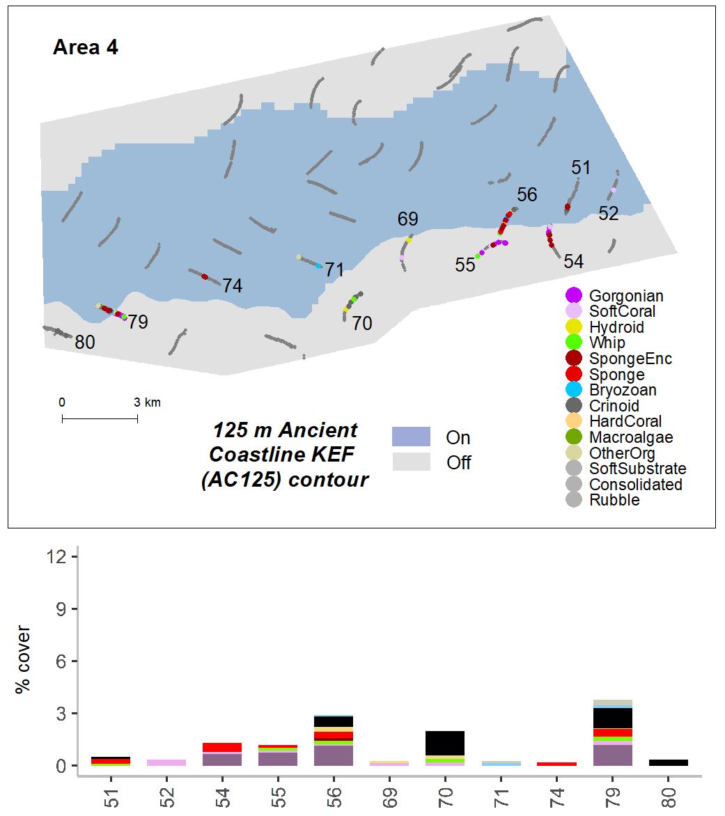 Percent cover of organisms in Area 4