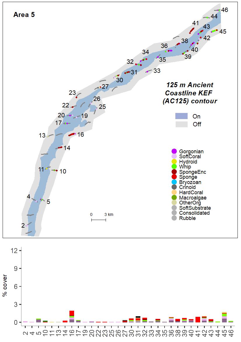 Percent cover of organisms in Area 5