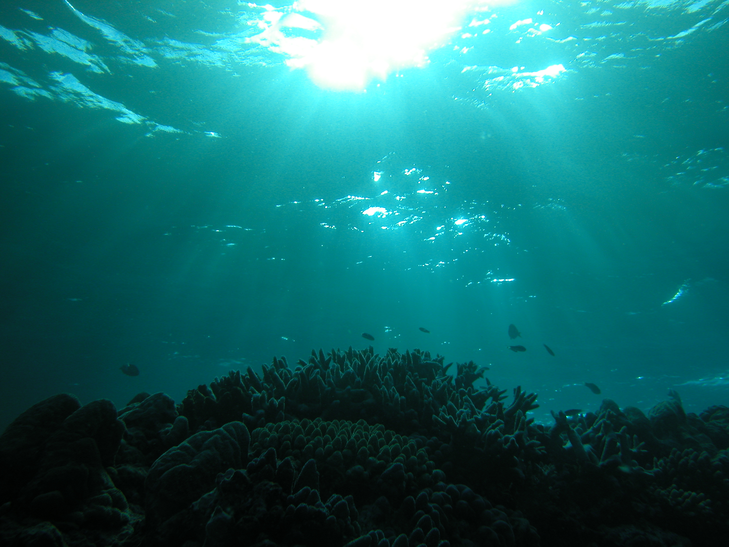 Sunlight shining through water to illuminate Ben Reef
