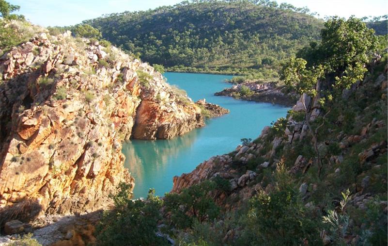 Crocodile Creek