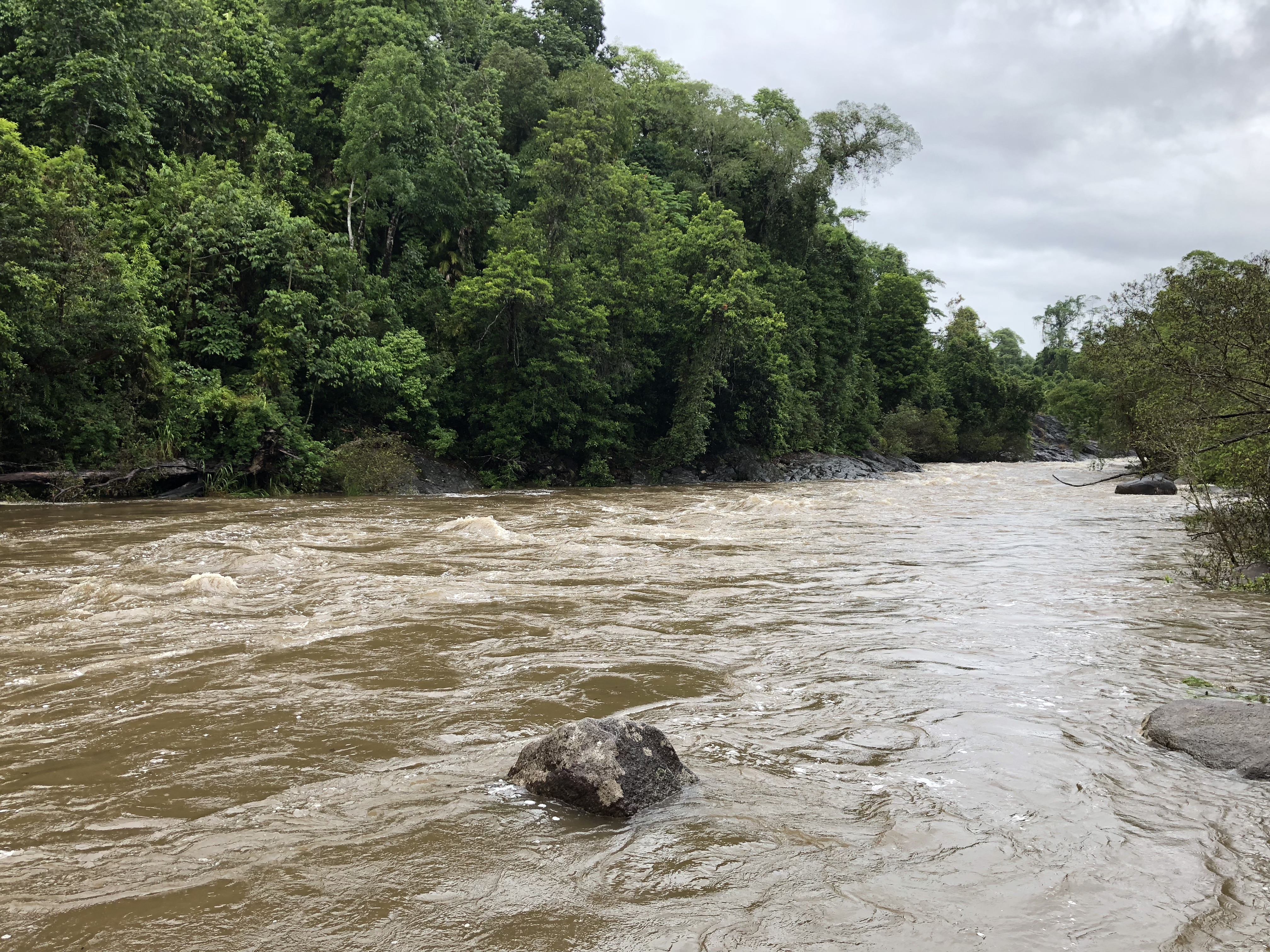 Peak flooding at Russell River (Golden Hole) sampling site.
