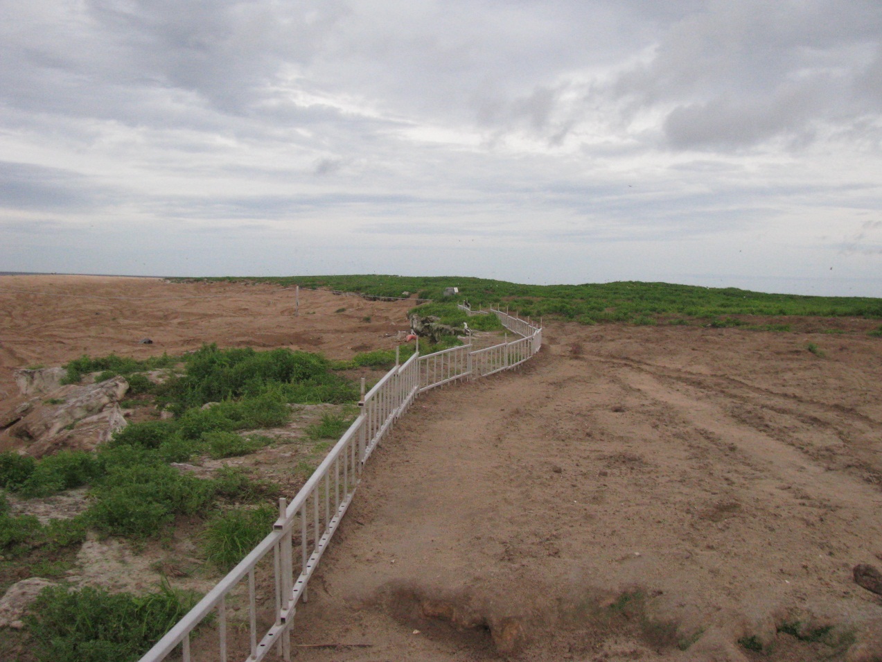 Fence Raine Island