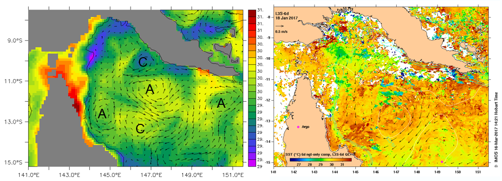OFAM3 model and matching satellite ocean current in Gulf of Papua 