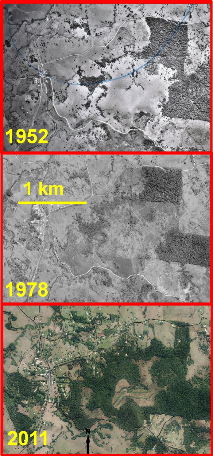 Wet Tropics uplands regrowth over 59 years, Tarzali region