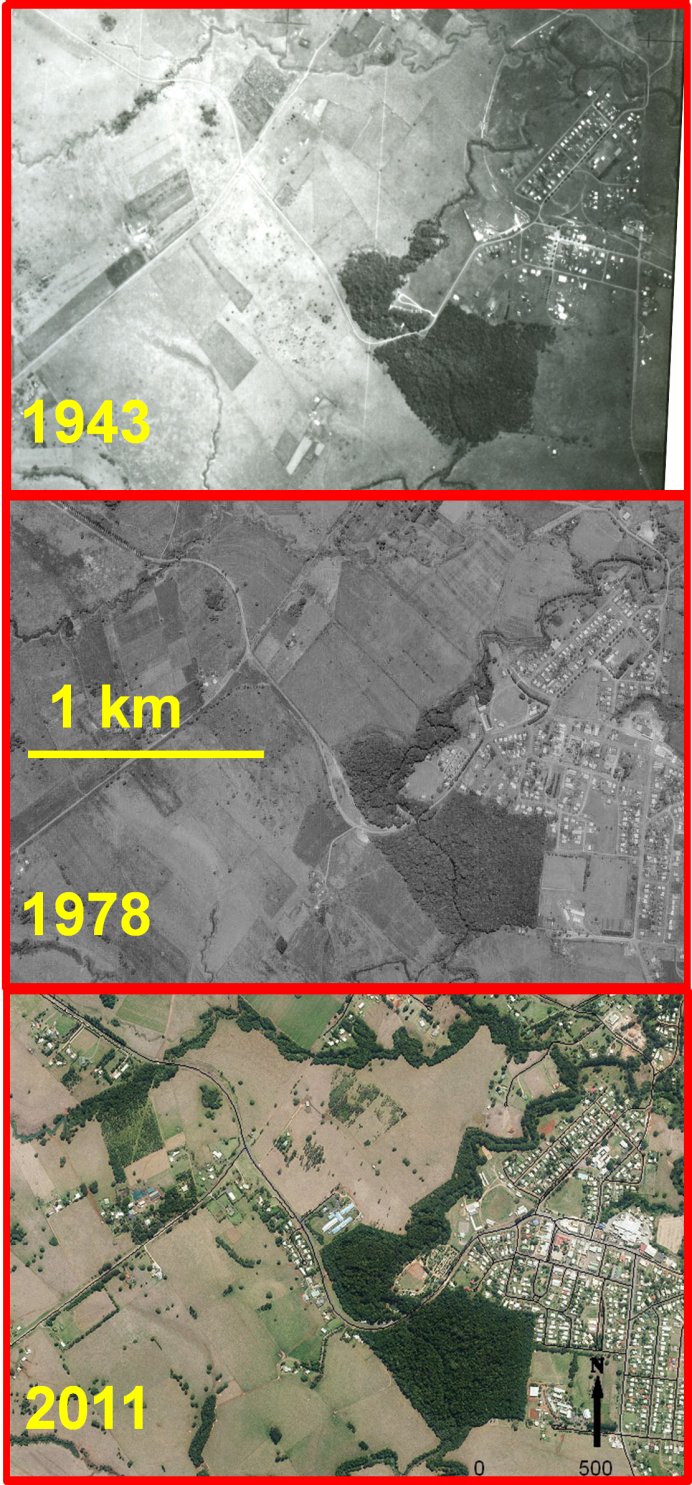 Wet Tropics uplands regrowth over 68 years, Malanda region