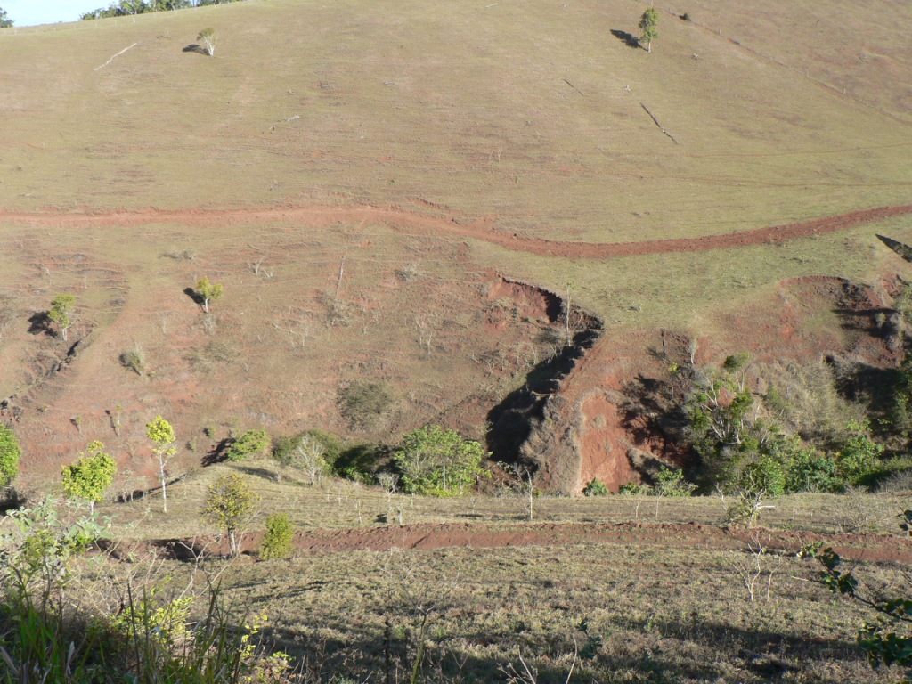 Degraded landscapes could be restored in Far North Queensland