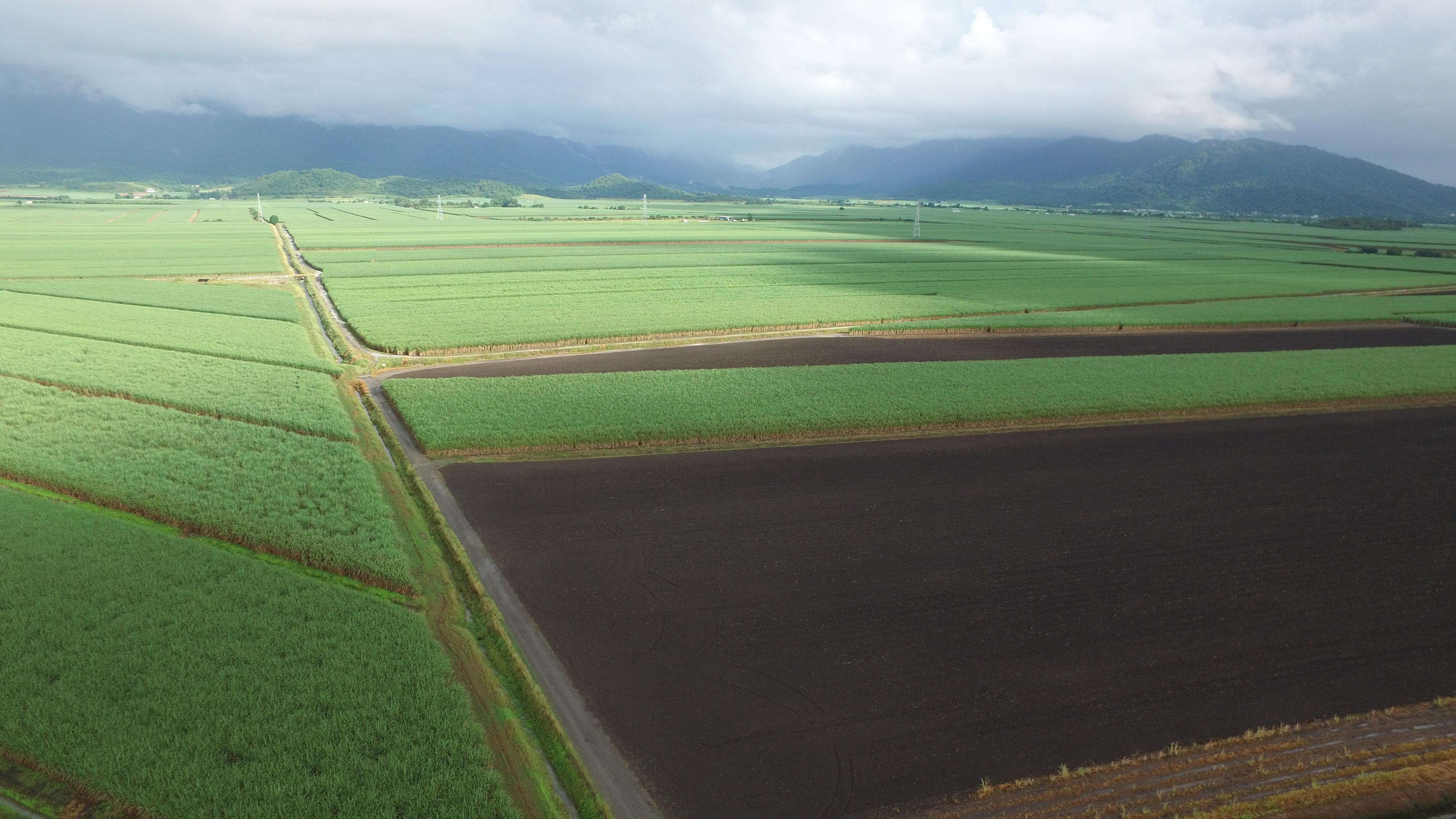 Far North Queensland cane fields aerial shot
