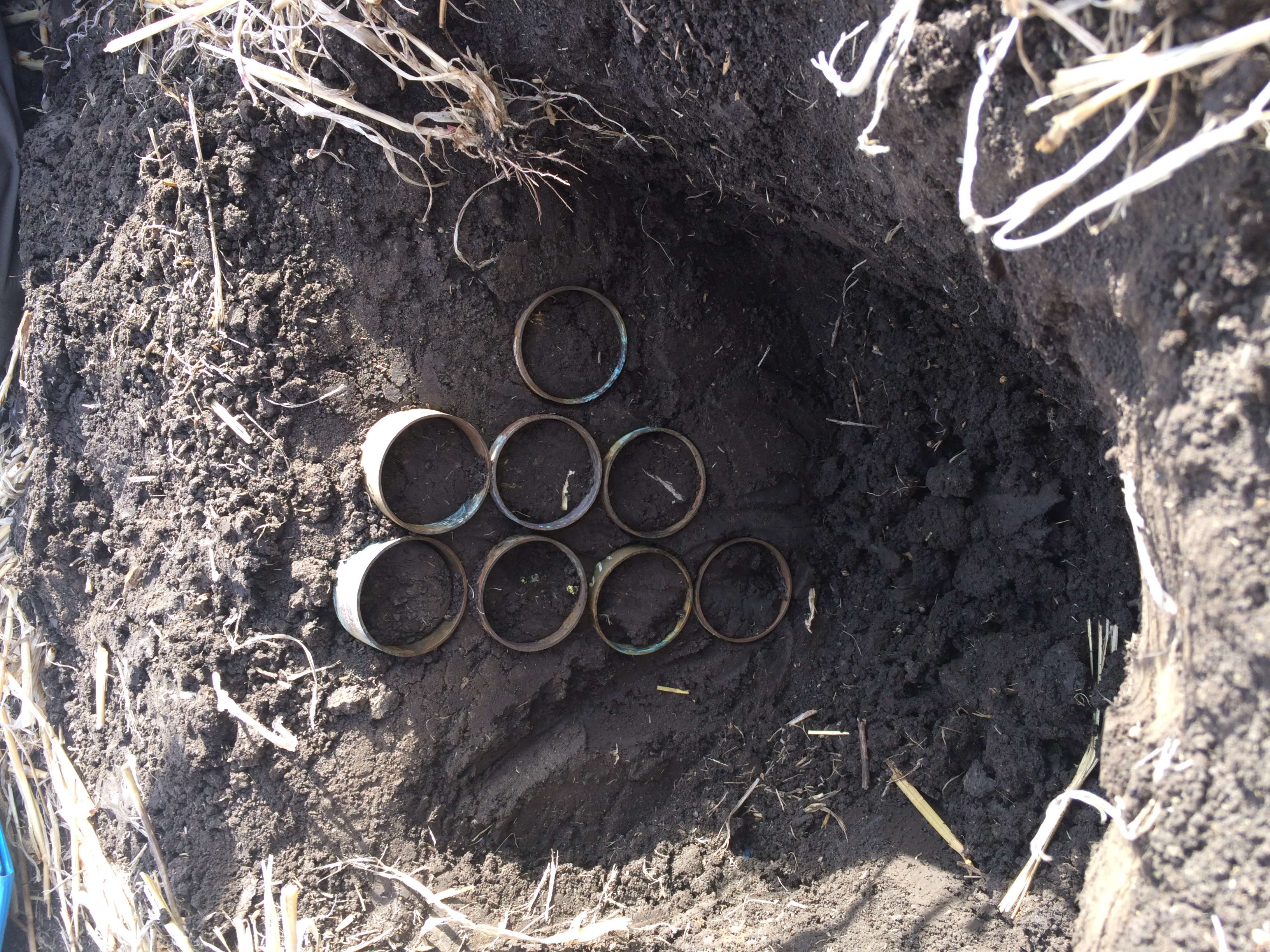 Soil profile sampling to quantify fertilizer N release dynamics
