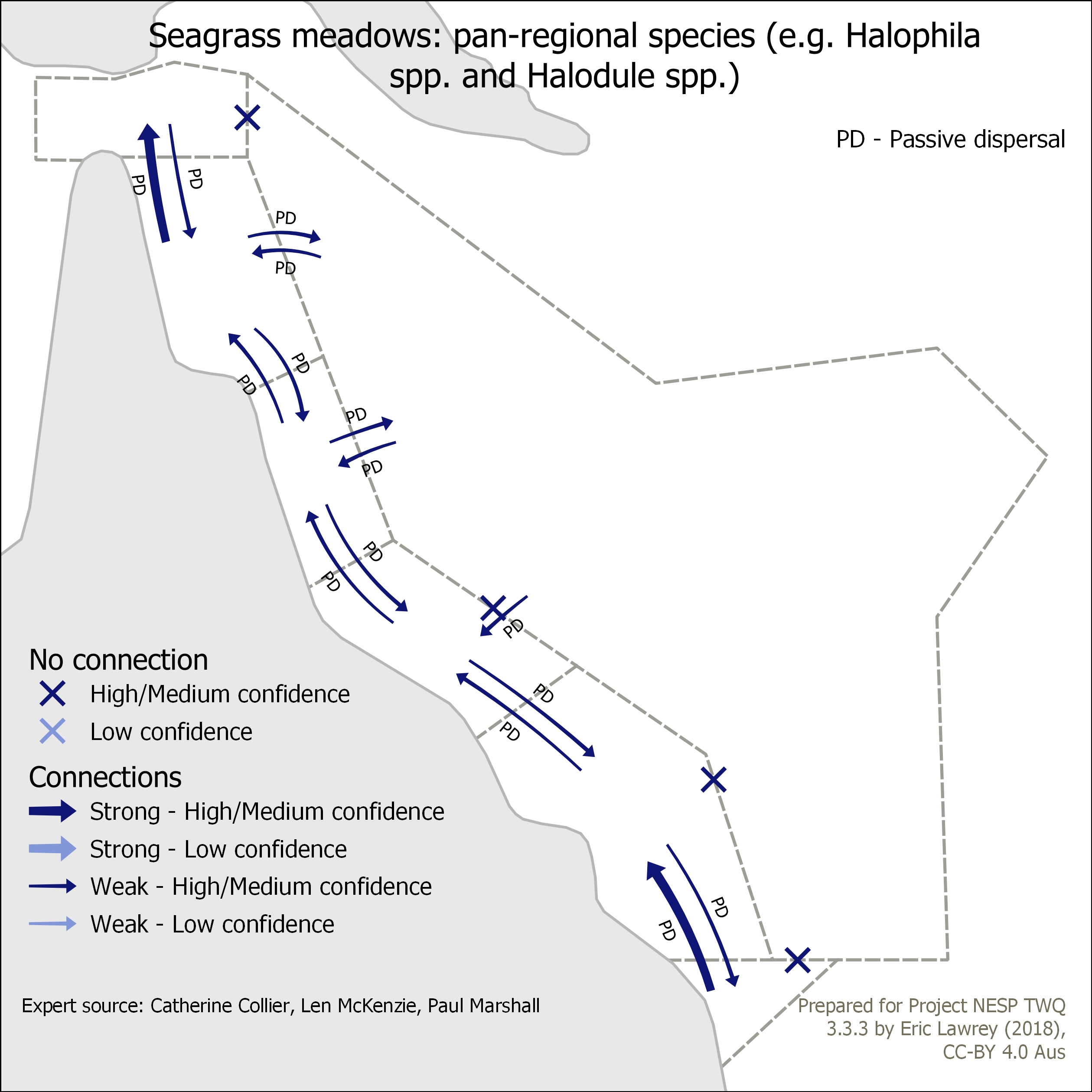 Seagrass meadows: pan-regional species (e.g. Halophila spp. and Halodule spp.)