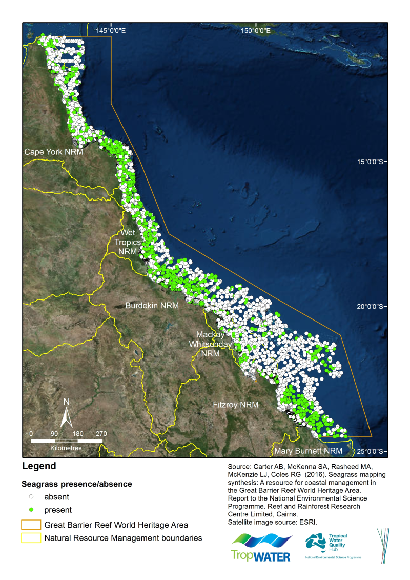 Collation of spatial seagrass data (meadow extent polygons, species ...