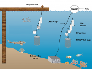 Schematic for the deployment of both Empore discs (EDs) and PDMS/SPMDs passive samplers in aquatic environments