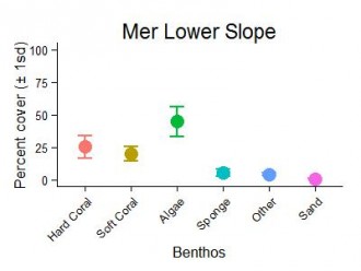 Mer Reef Lower Slope Benthic Group Graph