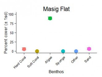 Masig Flat Slope Benthic Group Graph