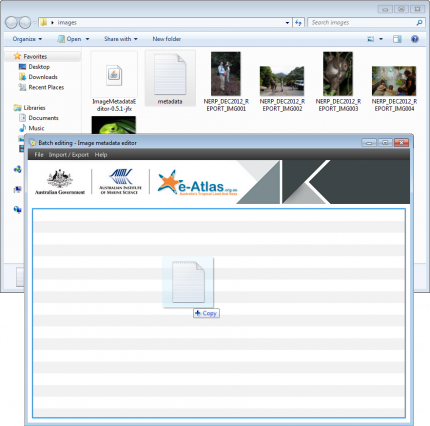 Loading a CSV file in the Image Metadata Editor