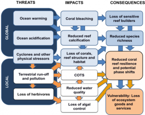 Linkage of coral reefs threats