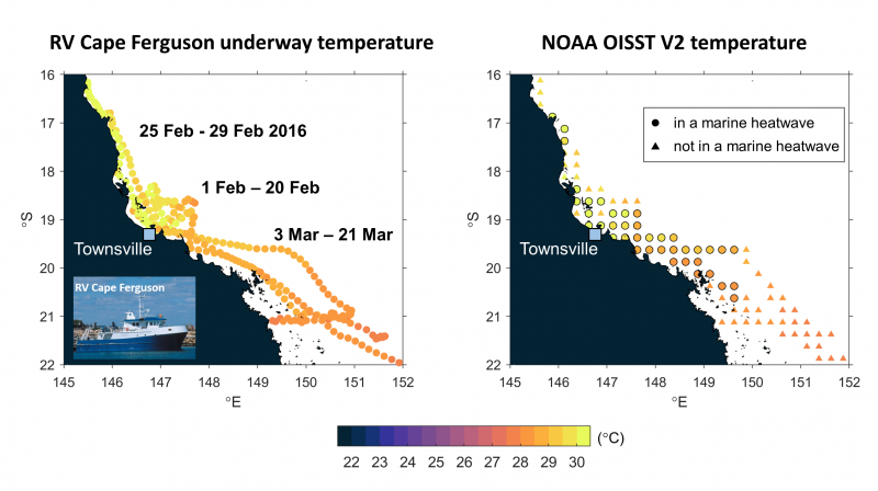 Example of using temperature data from the AIMS R/V Cape Ferguson to detect marine heatwaves in comparison with NOAA OISST V2.0 daily temperature data.