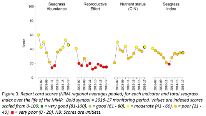 Report card scores for each indicator and total seagrass