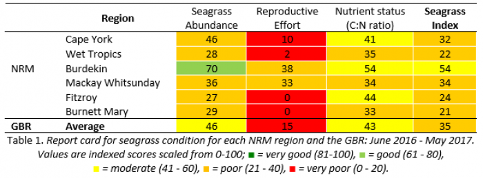 Report card for seagrass condition 2016-2017