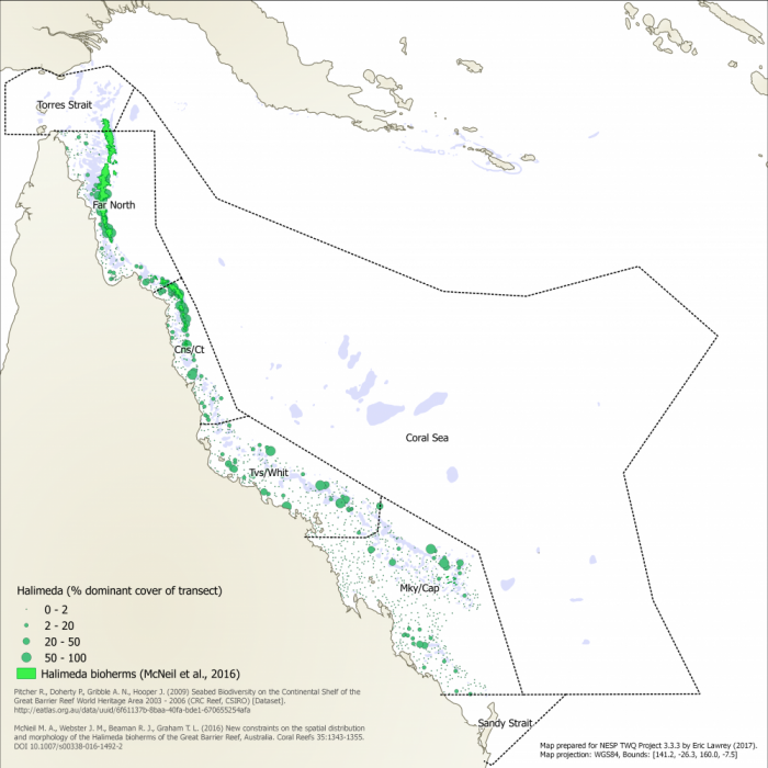 Distribution of Halimeda on the Great Barrier Reef