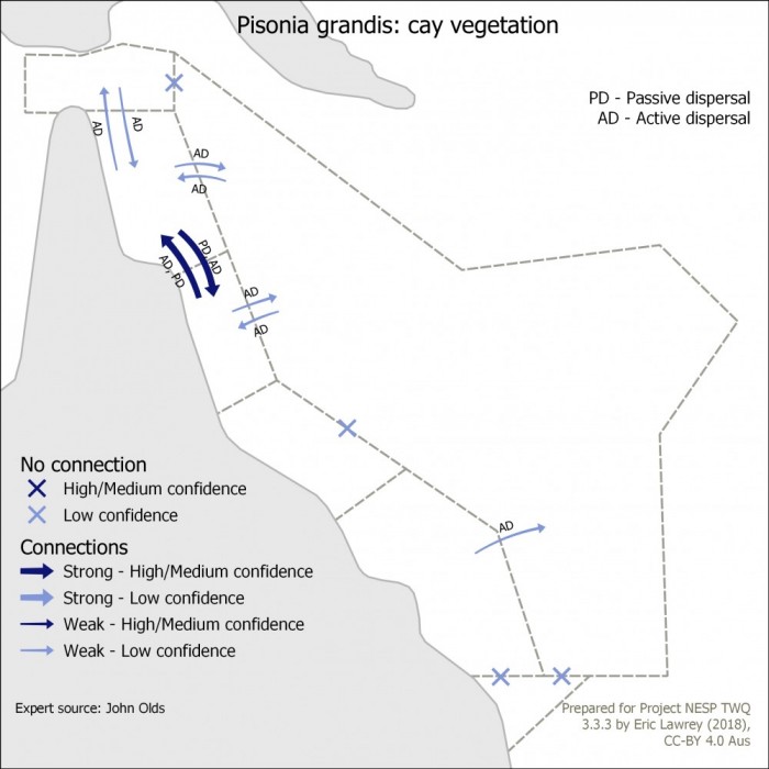 Pisonia grandis: cay vegetation