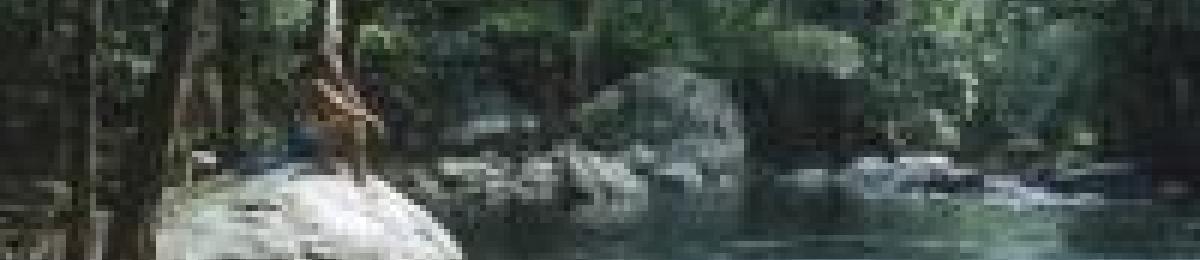 Wet Tropics