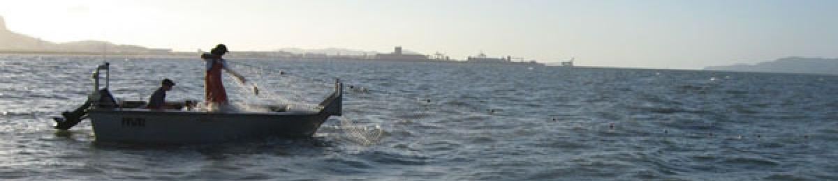 Inshore Commercial fisher