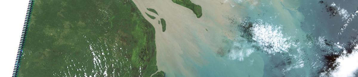 Flood Plume from Fly River (Landsat 5)