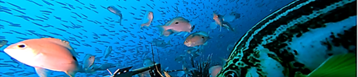 Picture1.png