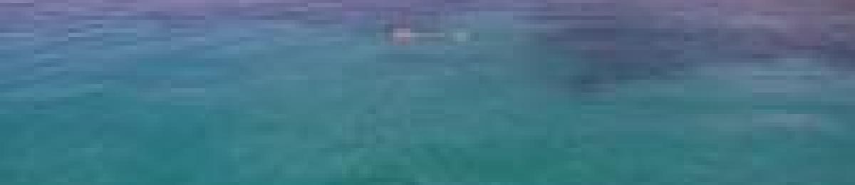 Ocean