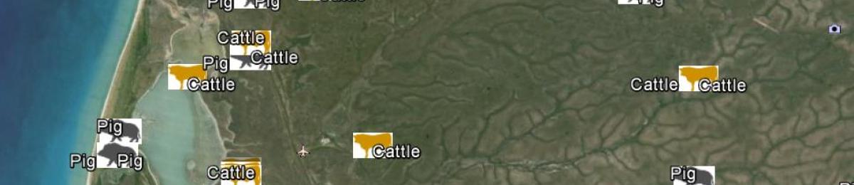 Pig Monitoring CSIRO