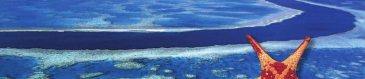 Social and Economic Conditions Great Barrier Reef (SELTMP 2011)