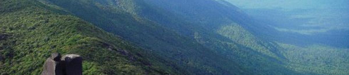 Thornton peak, Daintree National Park