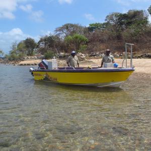 Moa Island (Kubin) - Rangers