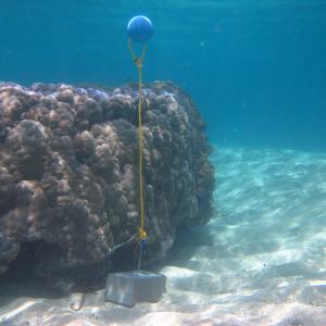 Mer Island - Temperature logger