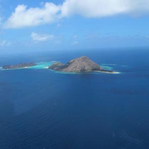 Dowar Island - Aerial view