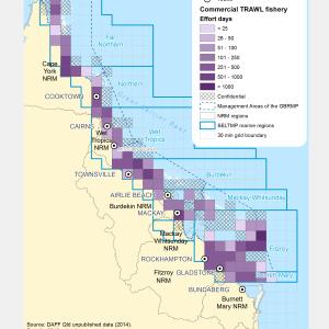 Commercial TRAWL Fishing Effort (# of days fished) within GBR fishing grids in 2013.