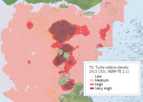Green Turtle Relative Distribution in Torres Strait (Preview map)