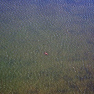 Aerial view of dugong and calf (Shore FID 8050, NESP TWQ 4.13)