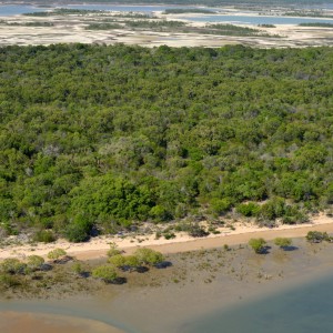 Aerial view of rubbish alone shoreline of Gulf of Carpentaria (Shore FID 8199, NESP TWQ 4.13) 