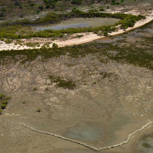 Aerial view of fish traps near Bayley Point (Shore FID 9938, NESP TWQ 4.13)