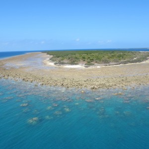 Coral cay supporting seagrass communities