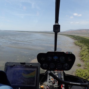 Seagrass meadow monitoring using helicopter-based survey methods