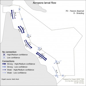 Acropora larval flow
