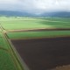 Far North Queensland cane fields aerial shot