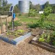 JCU Community garden auto-irrigation system