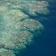 2017 coral bleaching from the air