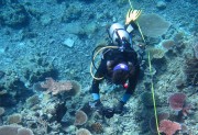 Diver collecting imagery along a transect on a fixed site survey. 